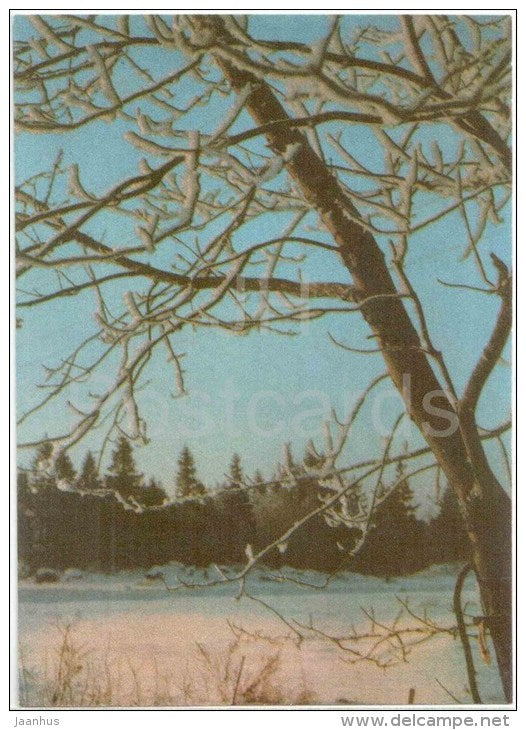 winter view - forest - nature - 1971 - Estonia USSR - unused - JH Postcards