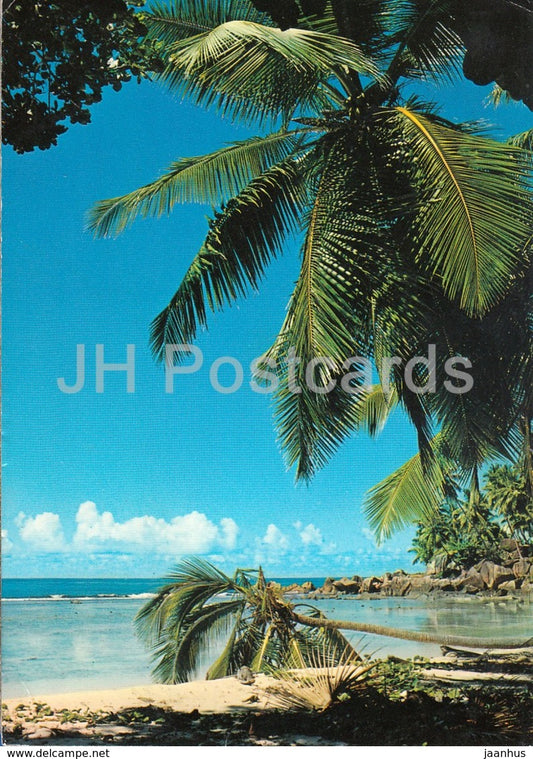 Beach View Mache - 105 - 1983 - Seychelles - used - JH Postcards