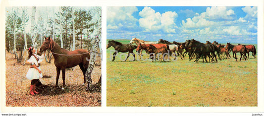 herd in the steppe - horse - 1976 - Kazakhstan USSR - unused - JH Postcards