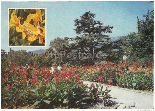 Canna Blossom - flowers - Nikitsky Botanical Garden - 1991 - Ukraine USSR - unused - JH Postcards