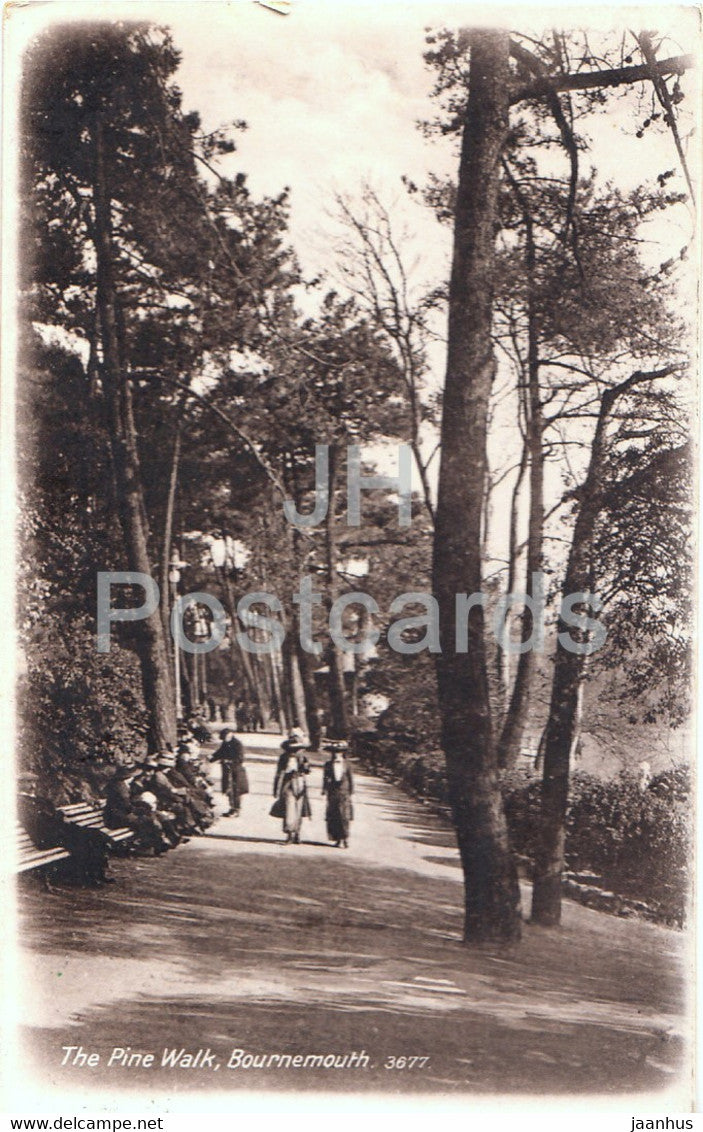 The Pine Walk - Bournemouth - 3677 - old postcard - England - United Kingdom - unused - JH Postcards