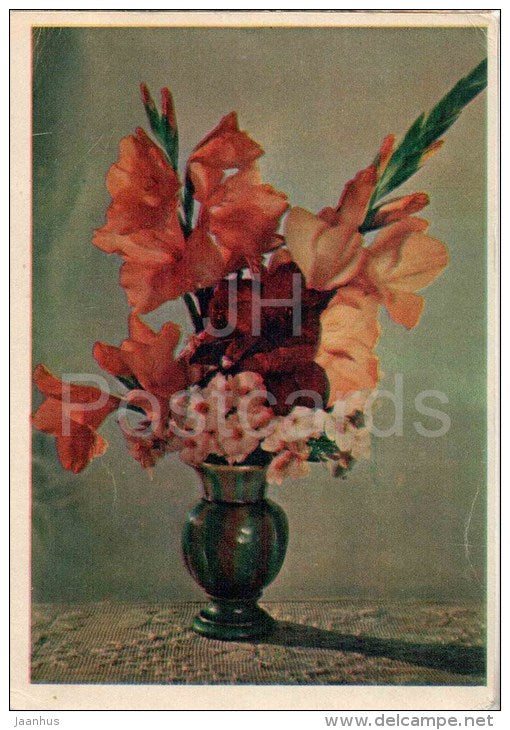 bouquet of gladiolus with phlox - flowers - vase - 1959 - Russia USSR - unused - JH Postcards
