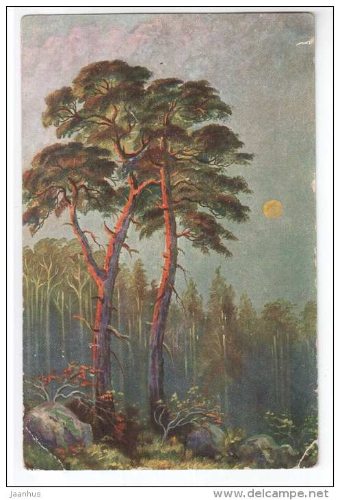 illustration - pine trees , forest - WSSB 6939 - old postcard - circulated in Estonia 1931 , Väike-Maarja - used - JH Postcards