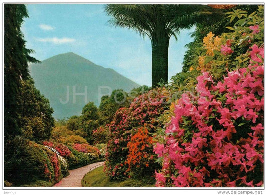 Fioritura di azalee nel parco di Villa Carlotta - Lago di Como - Como - Lombardia - 110-029 - Italia - Italy - unused - JH Postcards