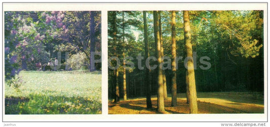 Gorky Botanical Garden - City recreation Park - Perm - 1980 - Russia USSR - unused - JH Postcards