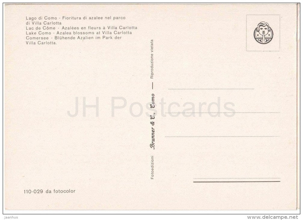 Fioritura di azalee nel parco di Villa Carlotta - Lago di Como - Como - Lombardia - 110-029 - Italia - Italy - unused - JH Postcards
