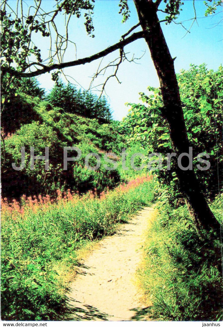 Fosdalen - 7619 - Denmark - unused - JH Postcards