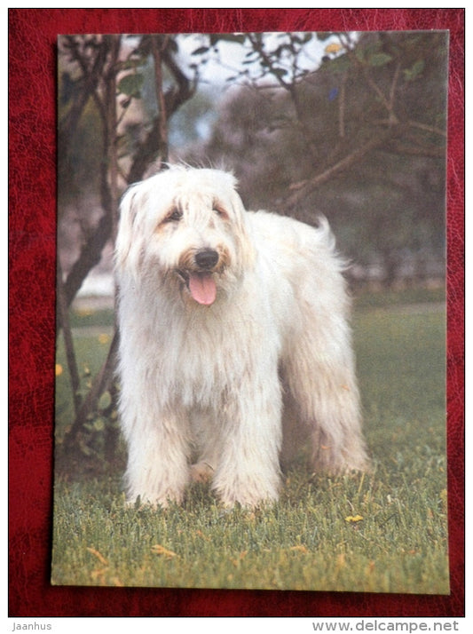 South Russian Ovcharka - South Russian Sheepdog - dogs - 1987 - Estonia - USSR - unused - JH Postcards