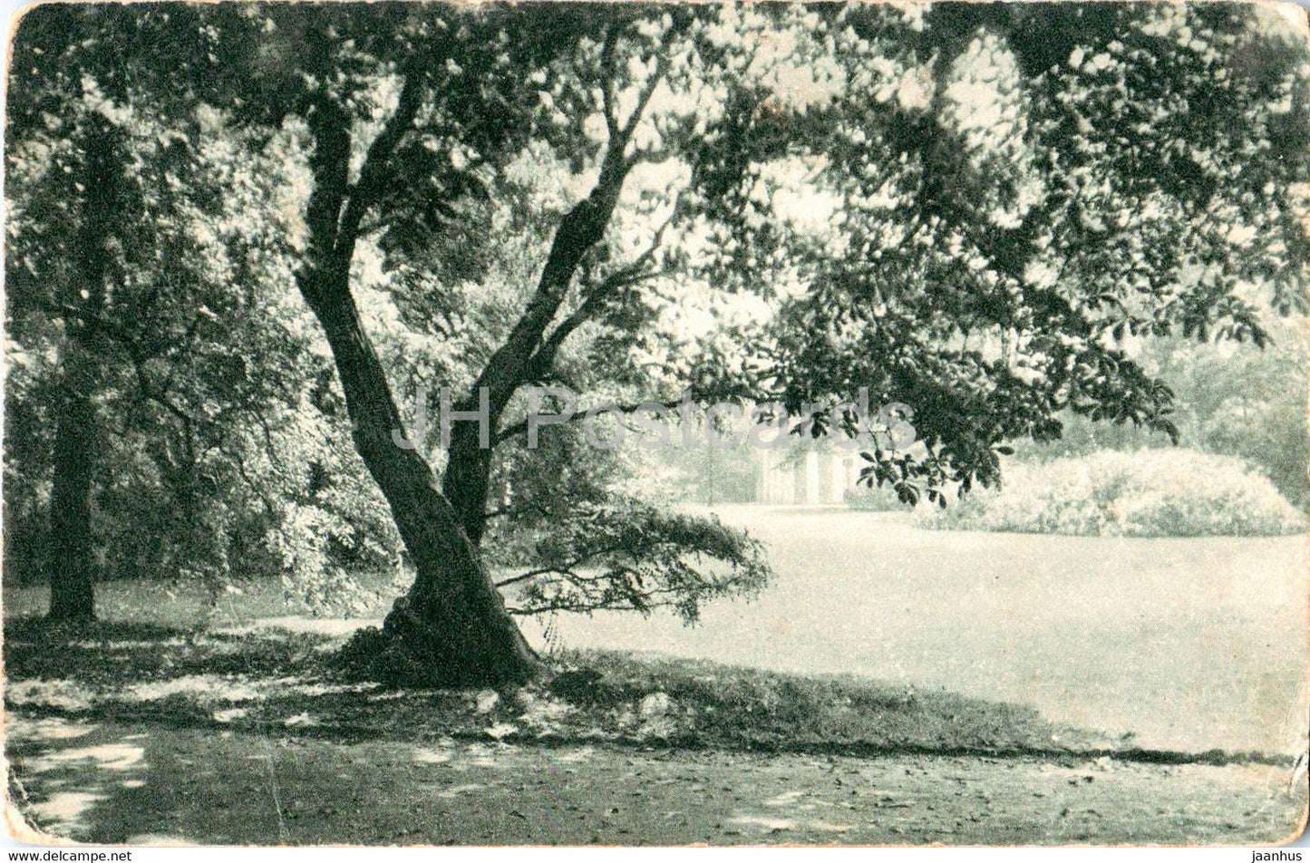 Dusseldorf - Hofgarten - old postcard - 1915 - Germany - used - JH Postcards