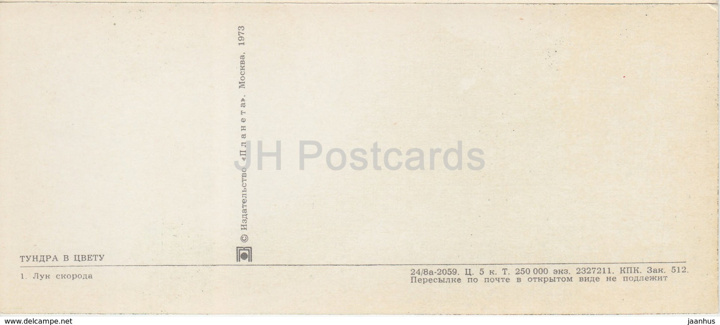 Chives - plants - Tundra in bloom - 1973 - Russia USSR - unused