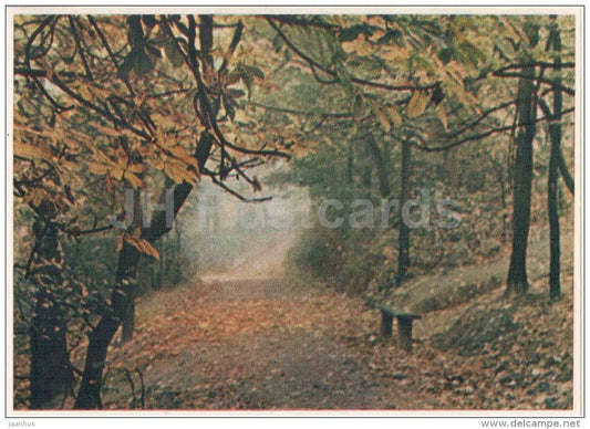park in autumn - Kaunas - 1956 - Lithuania USSR - unused - JH Postcards