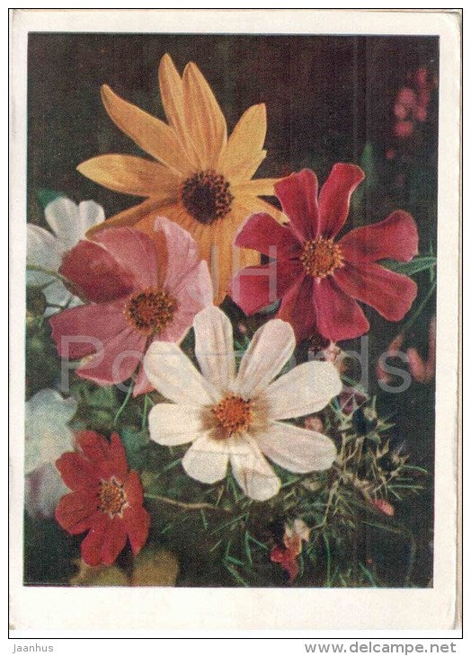 Garden Flowers - flowers - vase - 1956 - Russia USSR - unused - JH Postcards