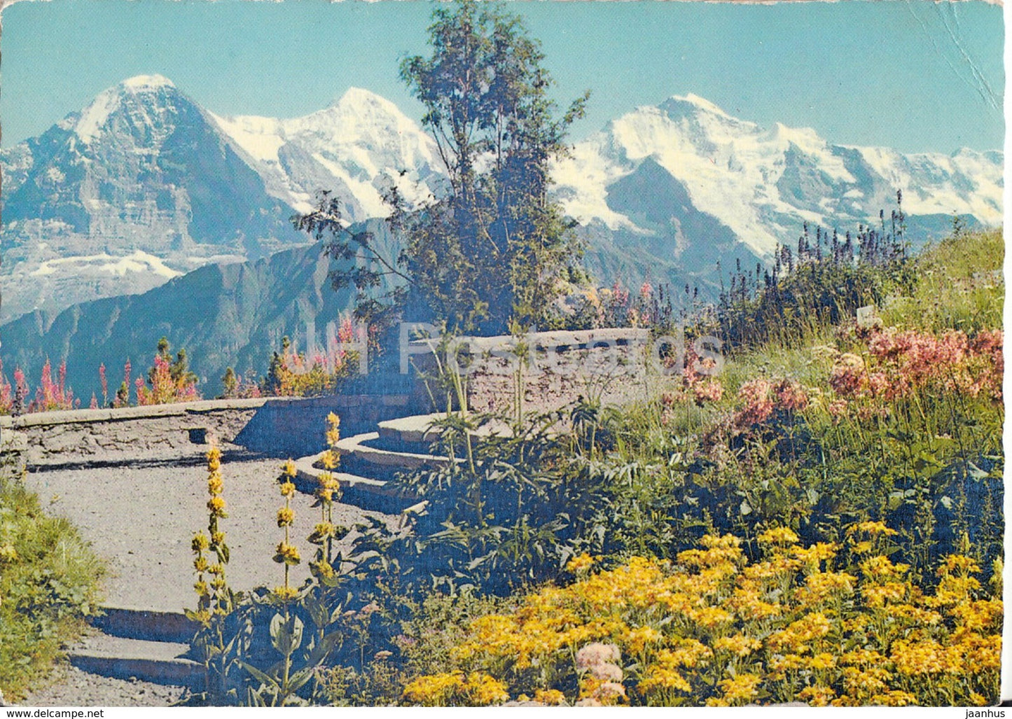 Interlaken - Eiger - Monch und Jungfrau - 1959 - Switzerland - used - JH Postcards