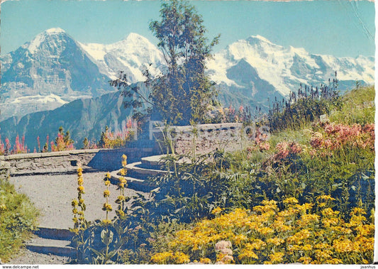 Interlaken - Eiger - Monch und Jungfrau - 1959 - Switzerland - used - JH Postcards