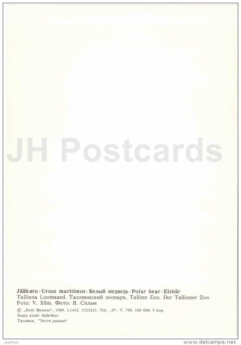 Polar bear - Ursus maritimus - large format card - Tallinn Zoo 50 - 1989 - Estonia USSR - unused - JH Postcards