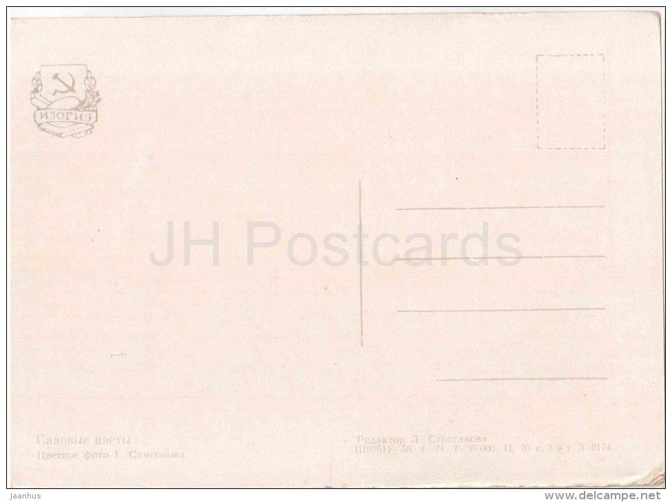Garden Flowers - flowers - vase - 1956 - Russia USSR - unused - JH Postcards