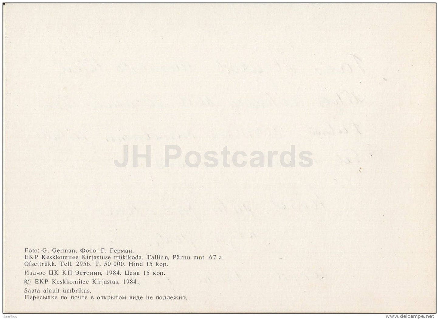 New Year Greeting Card - fir tree - 1984 - Estonia USSR - used - JH Postcards