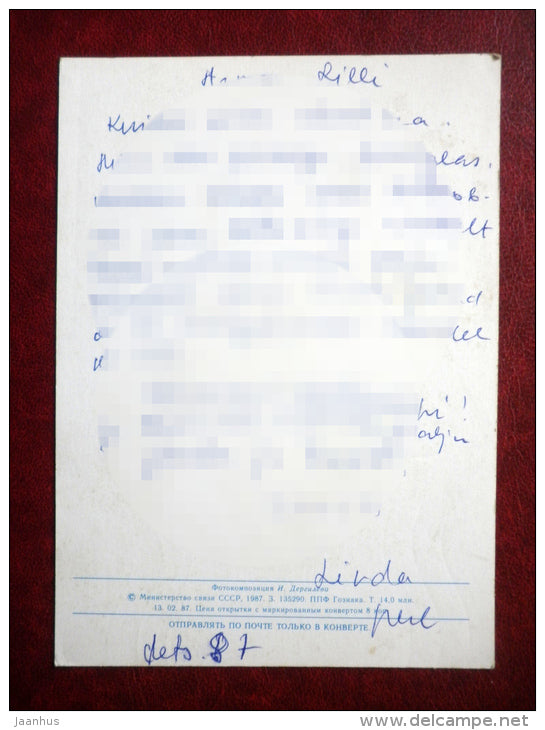 New Year greeting card - rowan berries - 1987 - Russia USSR - used - JH Postcards