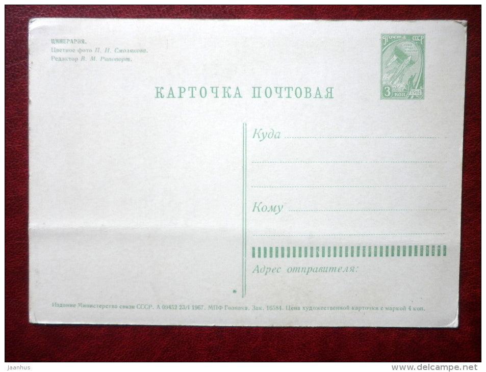 telegram - cineraria - flowers - 1967 - Russia USSR - unused - JH Postcards