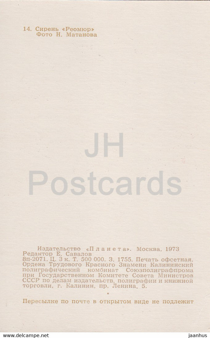 Reaumur - Lilac - Flowers - 1973 - Russia USSR - unused