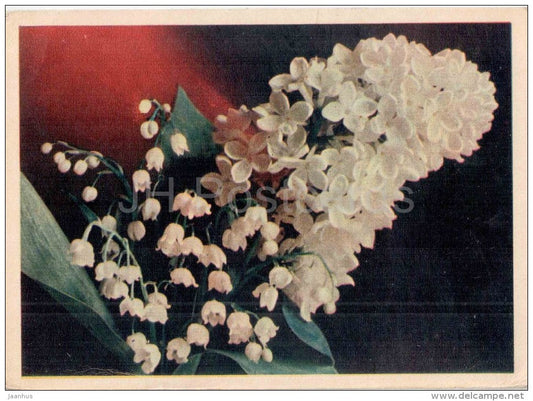 white lilac with lily of the valley - flowers - 1957 - Russia USSR - unused - JH Postcards