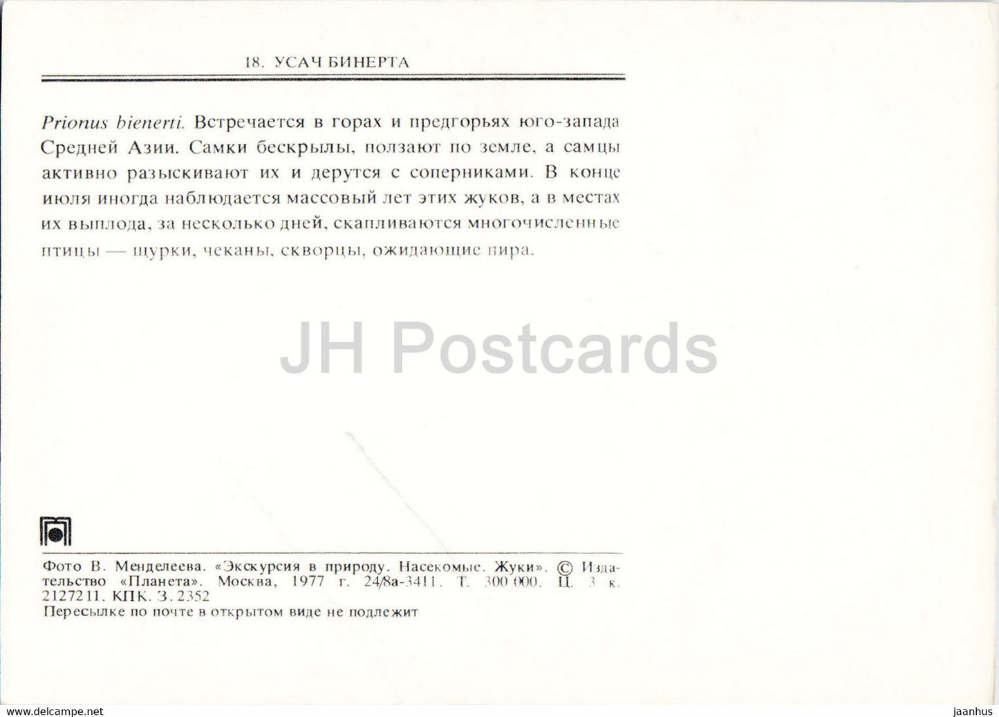 Prionus bienerti - insectes - 1977 - Russie URSS - inutilisé