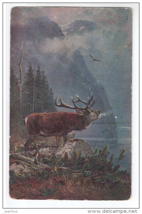 illustration - Deer - Nr 270 - old postcard - unused - JH Postcards