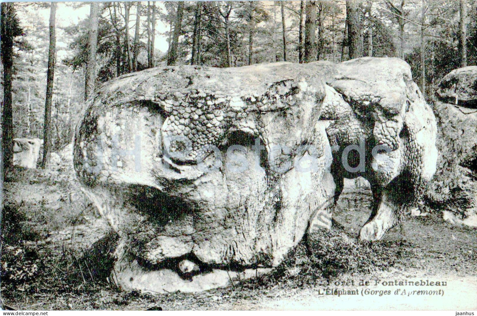 Foret de Fontainebleau - L'Elephant - old postcard - France - used - JH Postcards