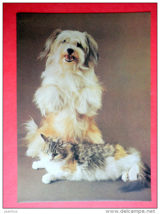Dog and Cat - 1990 - Russia USSR - unused - JH Postcards