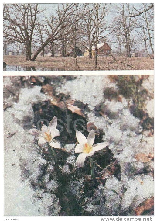 Early Spring - house - flowers - Seasons - 1984 - Russia USSR - unused - JH Postcards