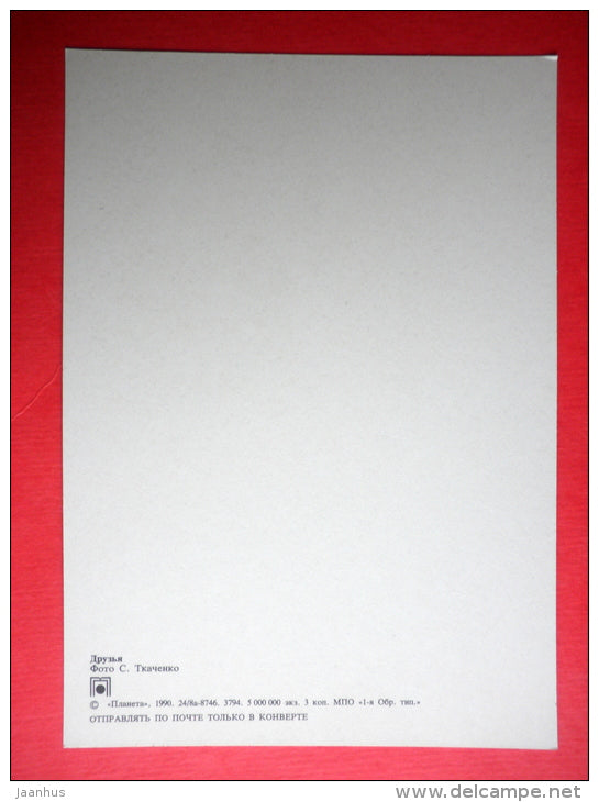 Dog and Cat - 1990 - Russia USSR - unused - JH Postcards