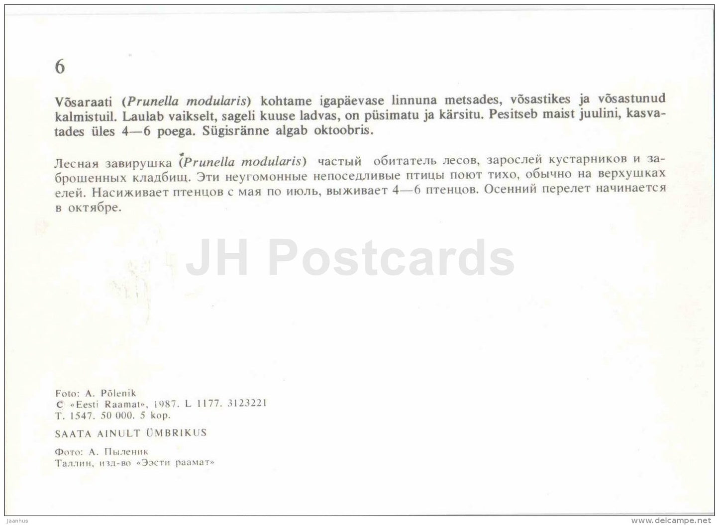 Dunnock - Prunella modularis - bird - Estonian Birds - 1987 - Estonia USSR - unused - JH Postcards