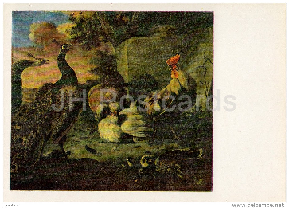 painting by Melchior d'Hondecoeter - Poultry - birds - cock - peacock - Dutch art - 1983 - Russia USSR - unused - JH Postcards