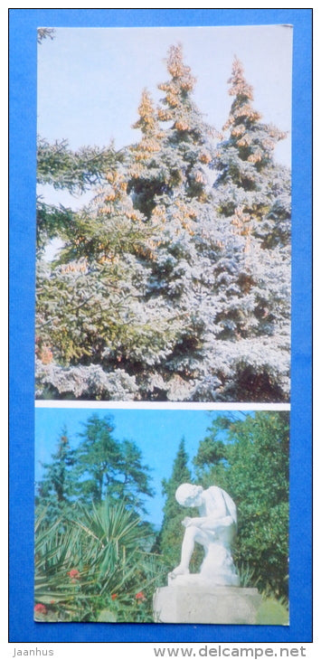 Spanish Fir in Upper Park , Abies pinsapo in - tree - sculpture Nikitsky Botanical Garden - 1981 - Ukraine USSR - unused - JH Postcards