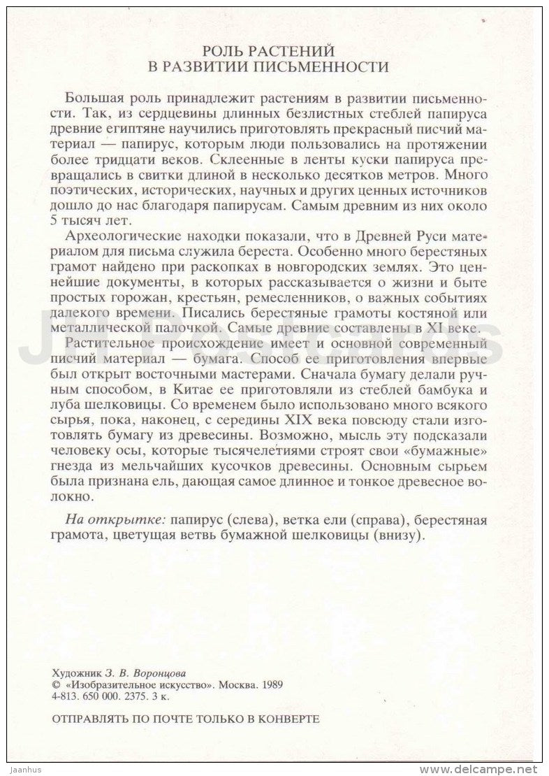 paper mulberry - birch-bark scroll - Fir - Papyrus - Paper Plants - Amazing Plants - 1989 - Russia USSR - unused - JH Postcards