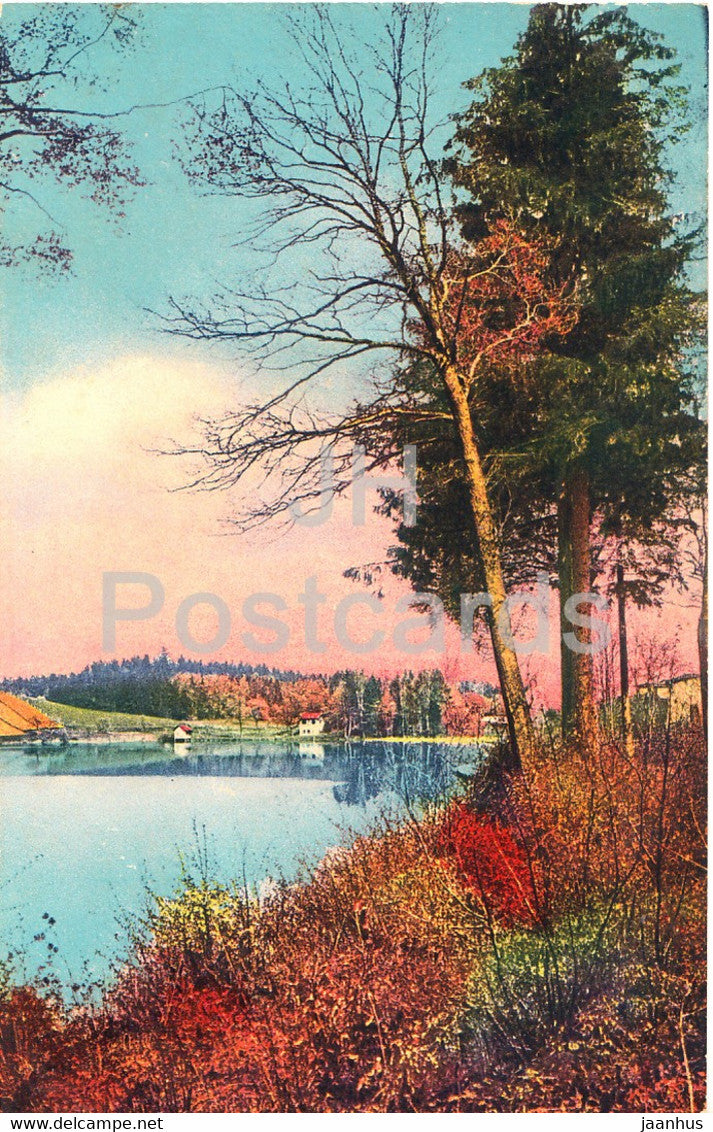 landscape - NZG - Serie 81 - old postcard -  Switzerland - unused - JH Postcards