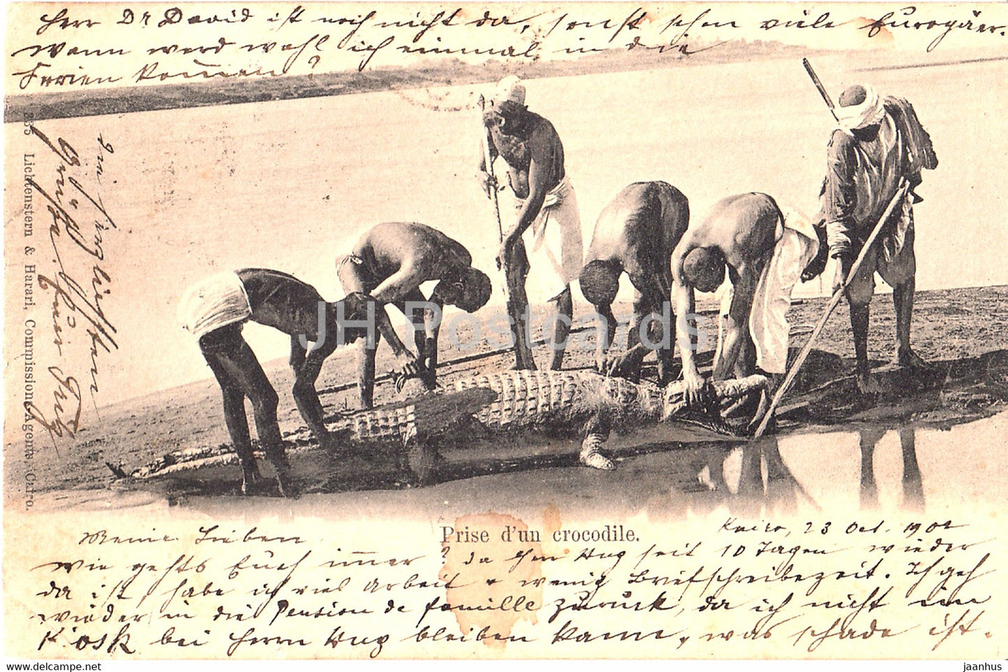 Prise d'un crocodile - animals - 335 - old postcard - 1902 - Egypt - used - JH Postcards