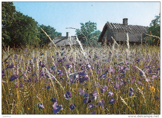 Farm Buildings , Saarnaki islet - Hiiumaa island - 1990 - Estonia USSR - unused - JH Postcards