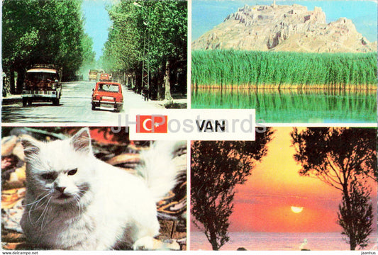 Van - multiview - cat - car - 65/19 - Basak Kart - 1989 - Turkey - used - JH Postcards