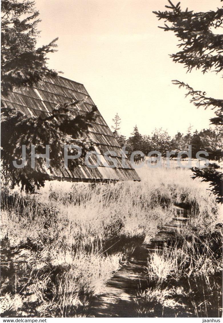 Naturschutzgebiet Georgenfelder Hochmoor - 4 - Germany DDR - unused - JH Postcards