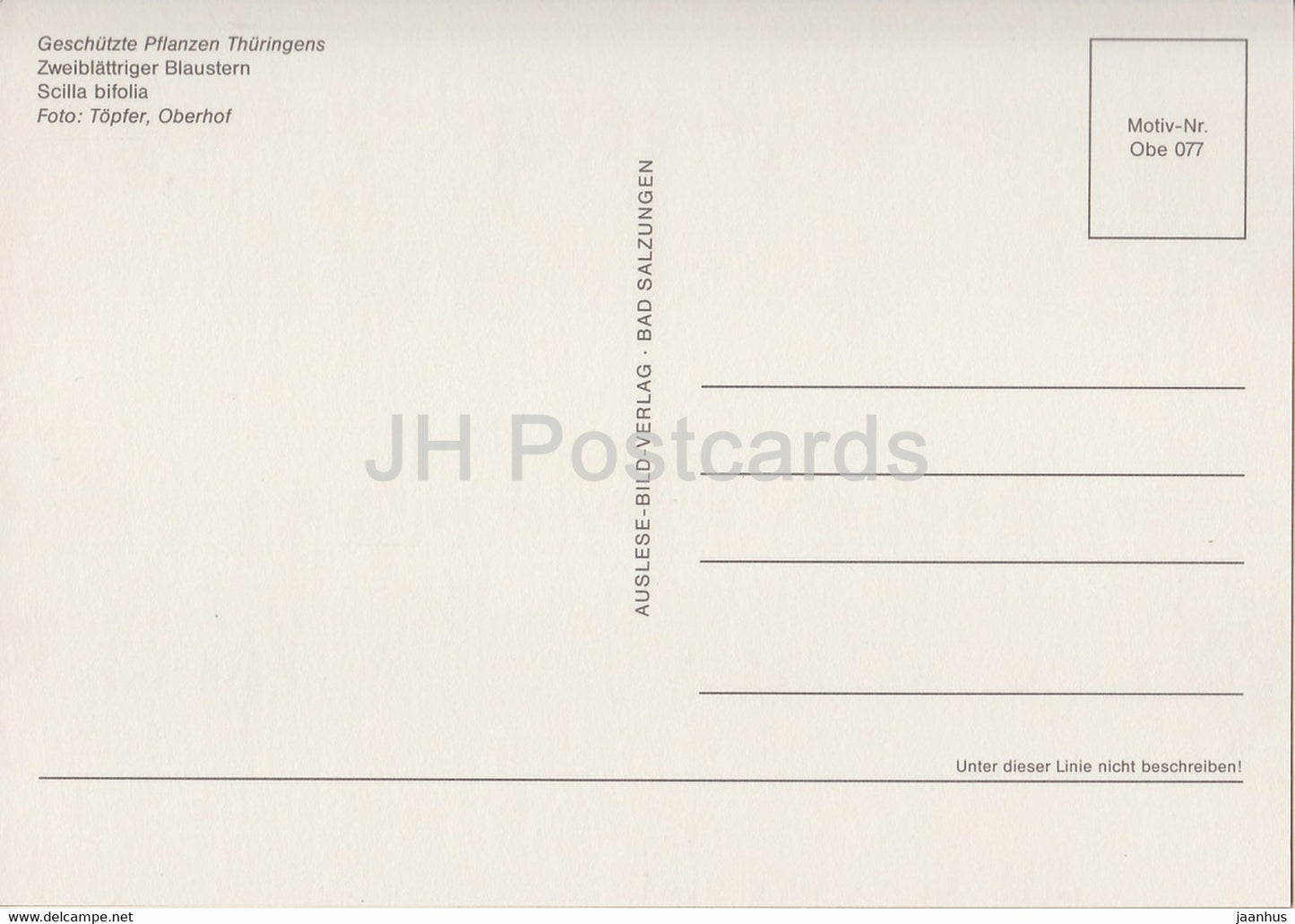 Two-leaf squill - Scilla bifolia - Geschutzte Pflanzen - Protected plants - DDR Germany - unused