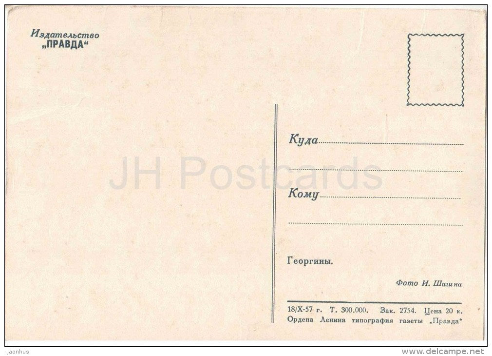 Dahlias in the vase - flowers - 1957 - Russia USSR - unused - JH Postcards