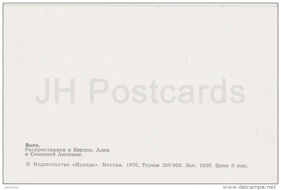 Grey Wolf - Canis lupus - Zoo - 1976 - Russia USSR - unused - JH Postcards