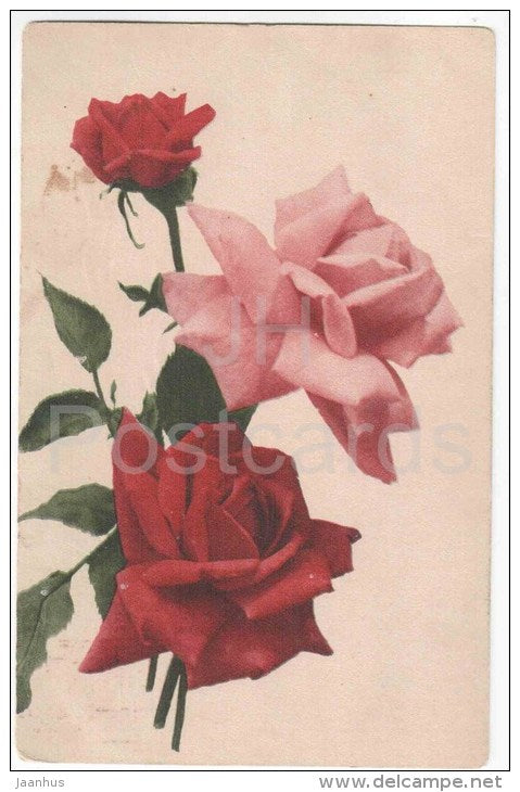 Greeting Card - Red and Pink Roses - flowers - old postcard - used in Estonia - JH Postcards