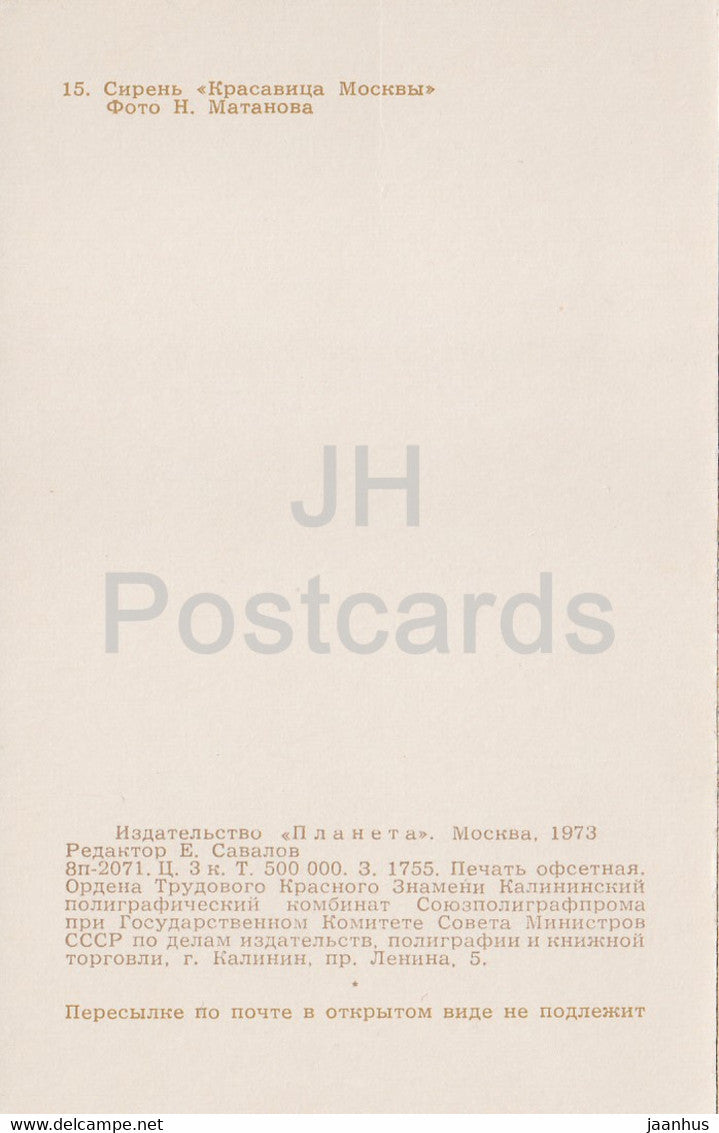 Beauty of Moscow - Lilac - Flowers - 1973 - Russia USSR - unused