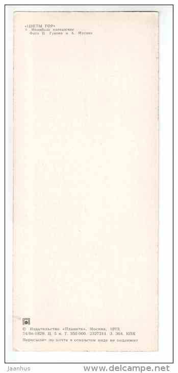 Sempervivum caucasicum - Mountain Flowers - 1973 - Russia USSR - unused - JH Postcards