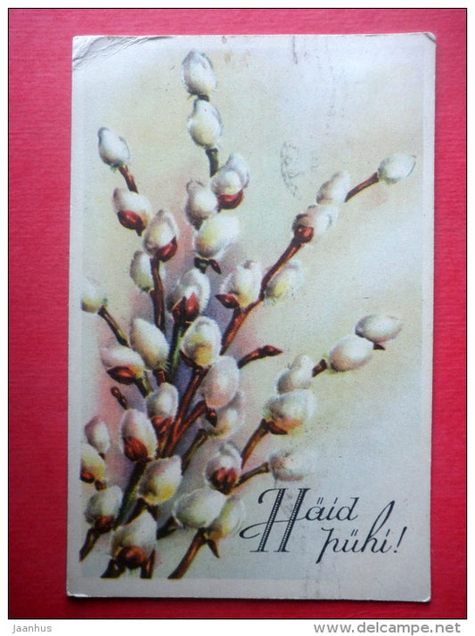 easter greeting card - catkins - circulated in Estonia Tartu 1937 - JH Postcards