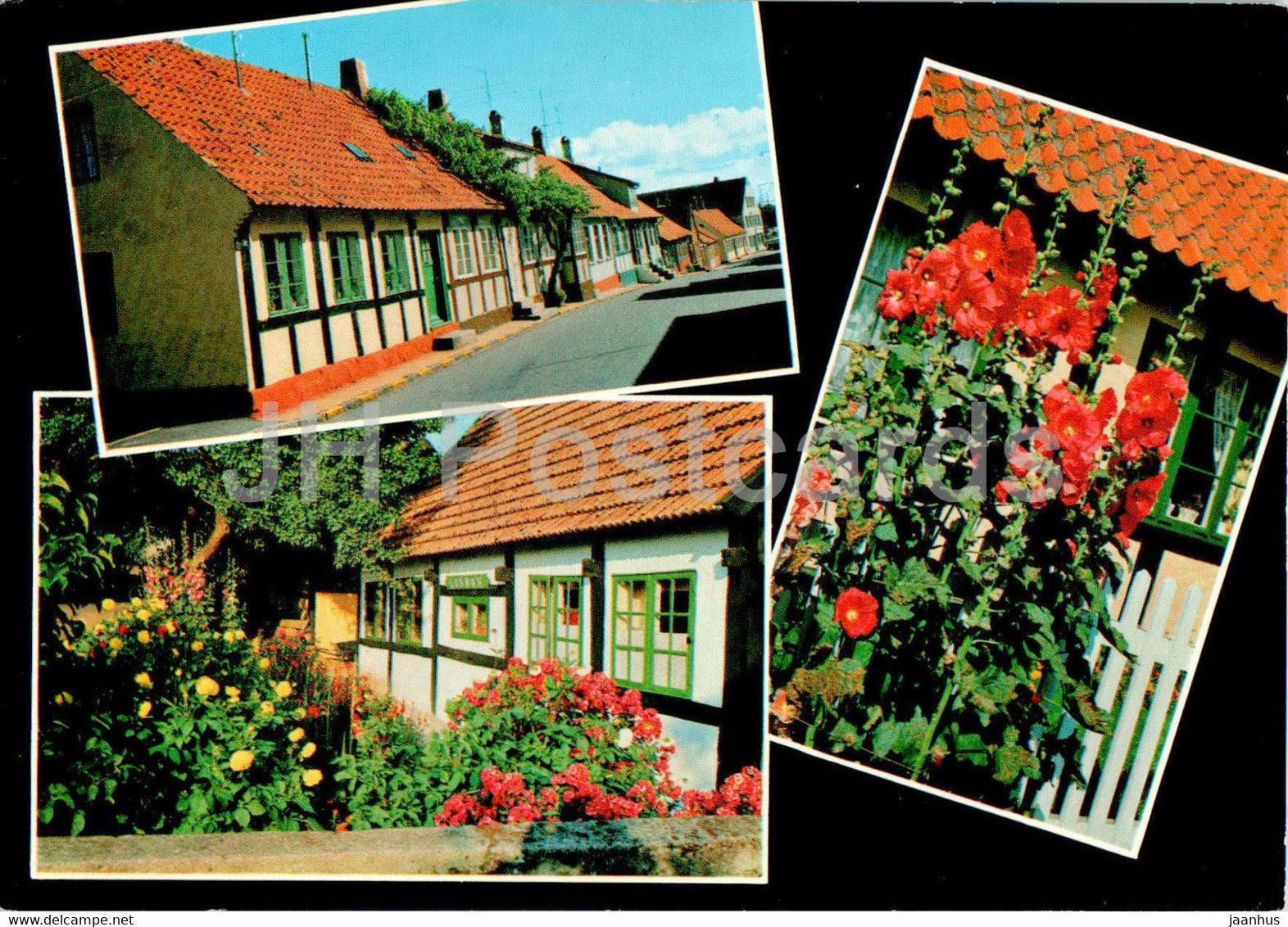 Bornholm - Gadebilleder - Vinstok og blomsterflor - street view - flowers - multiview - 7005 - Denmark - unused - JH Postcards
