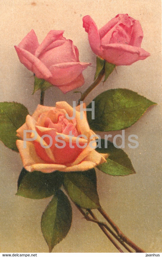 orange pink roses - flowers - Paul Bender - old postcard - 1929 - Switzerland - used - JH Postcards