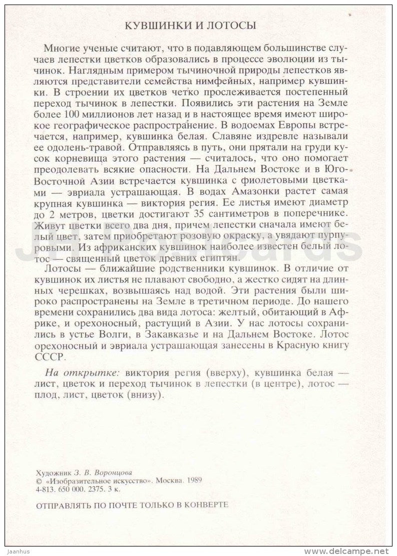 Pink Lotus - White Water Lily - Victoria Regia - family Nymphaeaceae - Amazing Plants - 1989 - Russia USSR - unused - JH Postcards